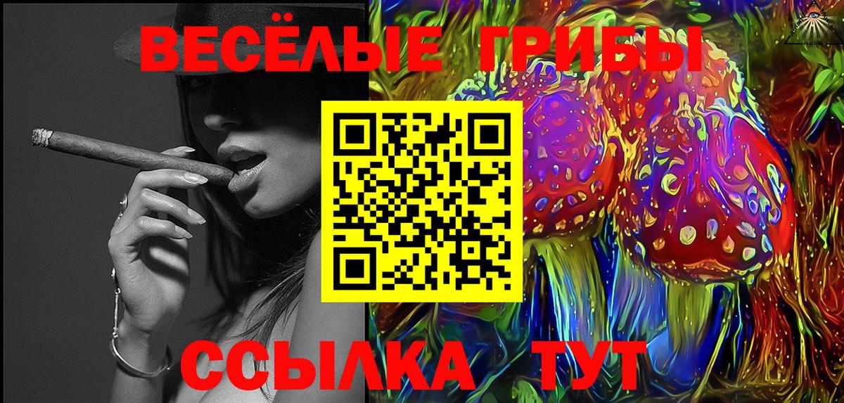 Псилоцибиновые грибы Cubensis  цены наркотик  Гусь-Хрустальный  Галлюциногенные грибы мицелий  Вход с VPN 